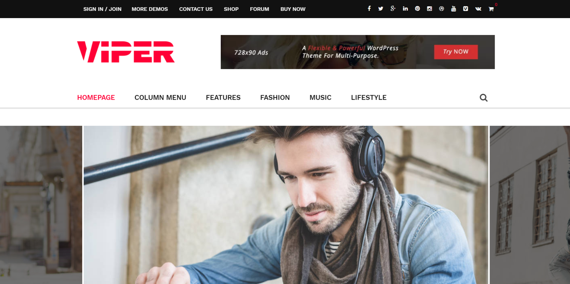 Viper WordPress theme