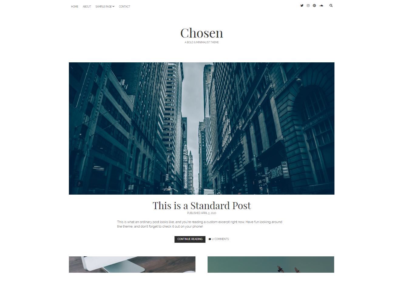 Chosen wordpress theme