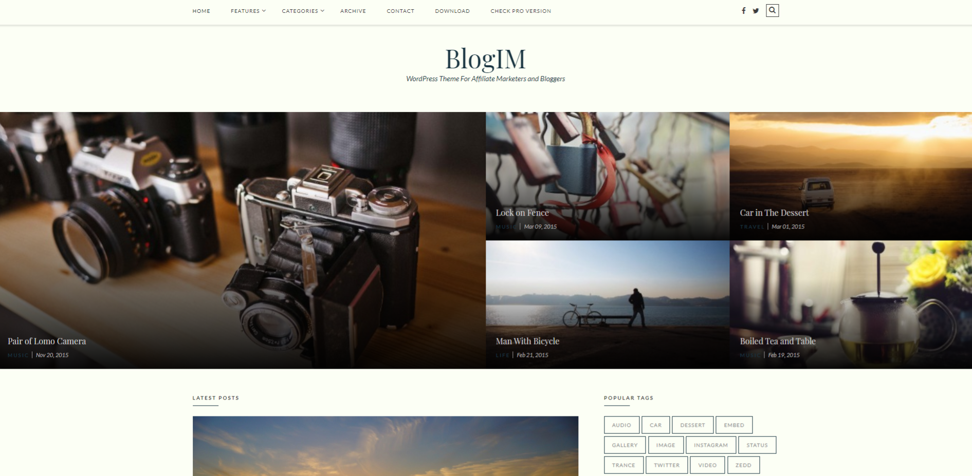 Blogim WordPress Theme