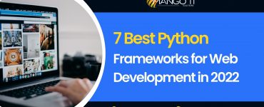 Python Frameworks for Web Development