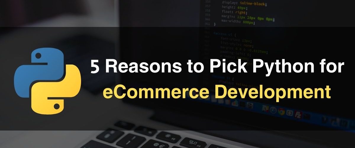 Python for eCommerce Development