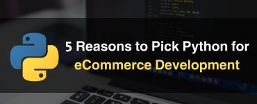 Python for eCommerce Development